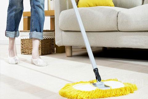 澳宝典资料大全