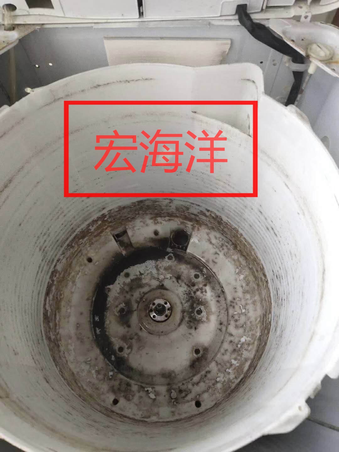 澳宝典资料大全