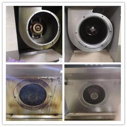 澳宝典资料大全