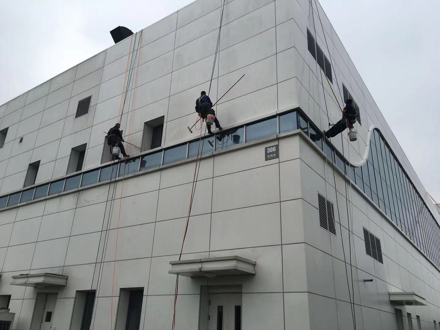 澳宝典资料大全