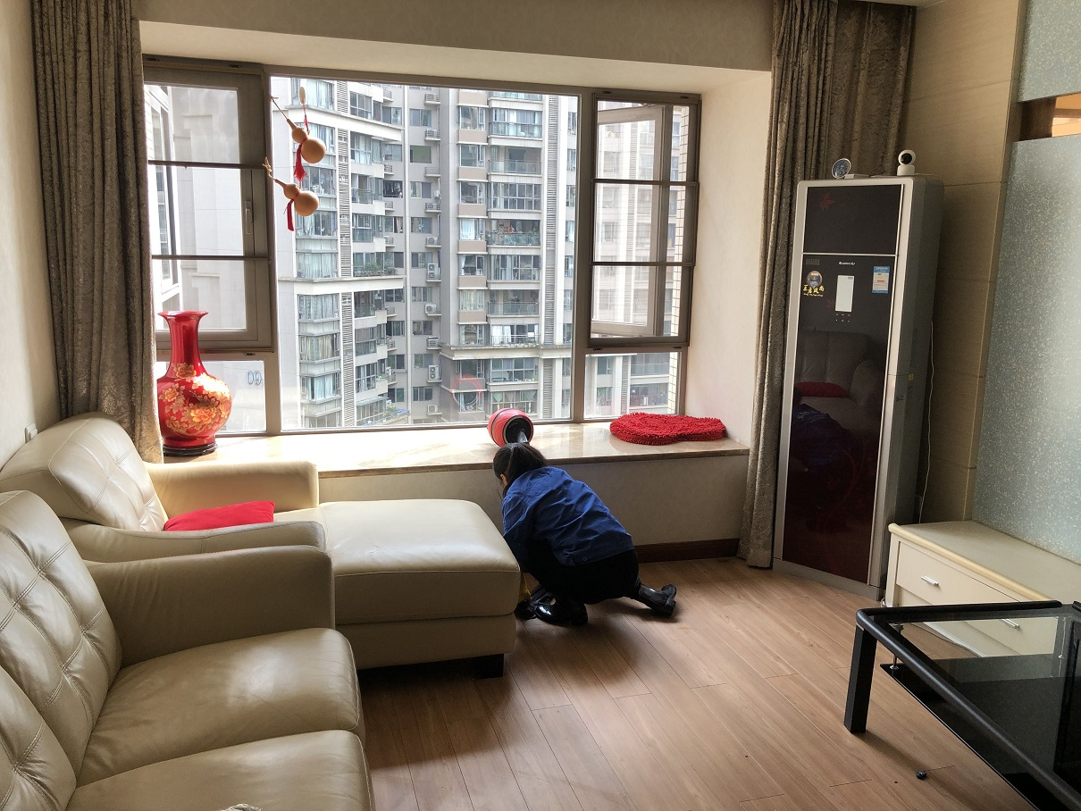 澳宝典资料大全