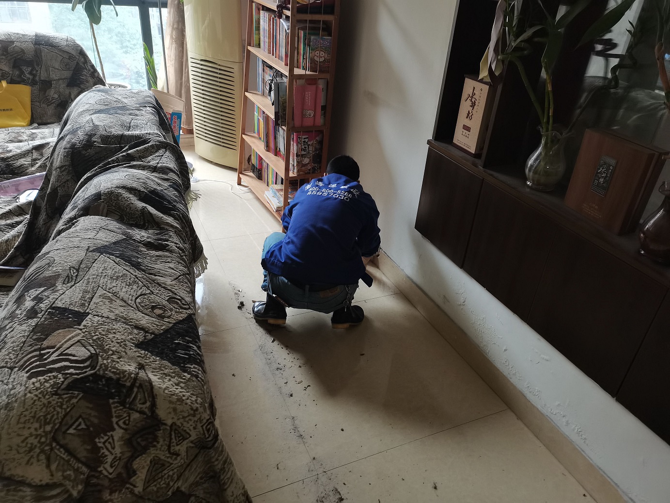 澳宝典资料大全