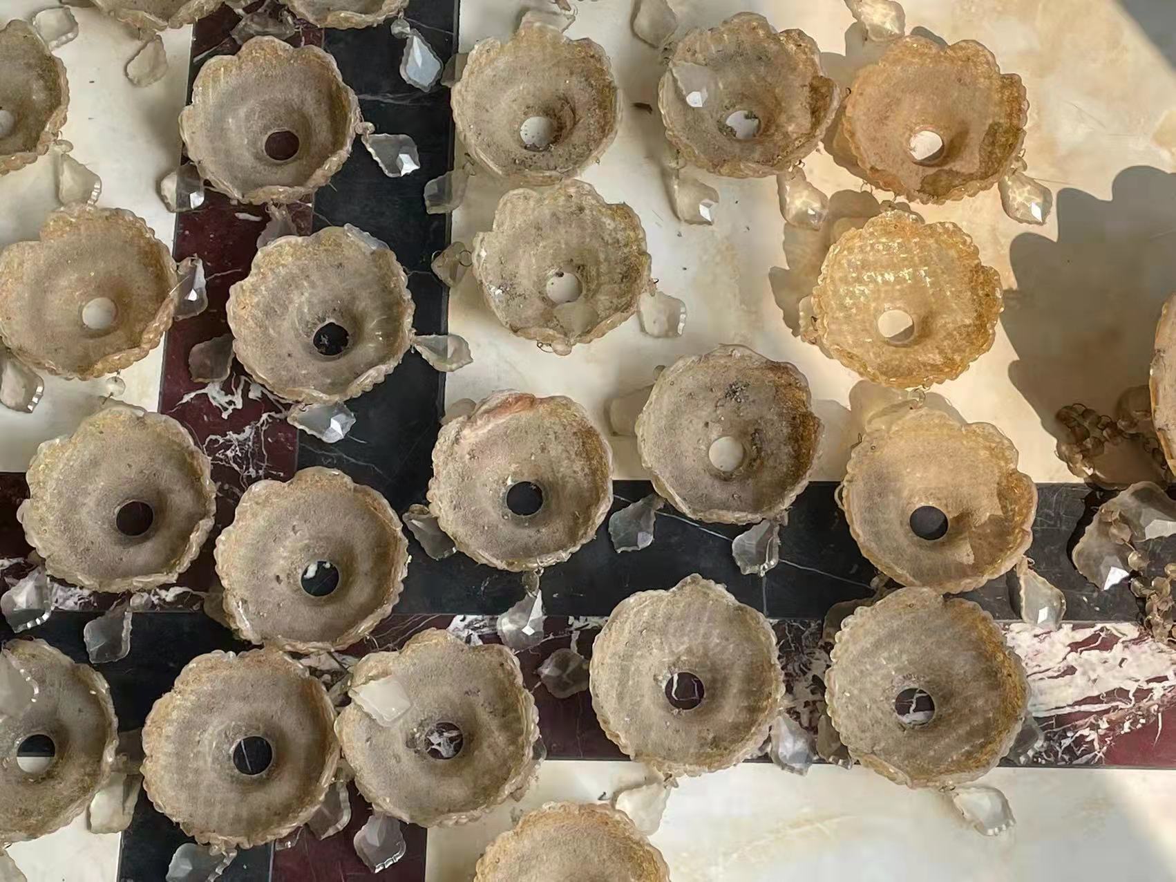 澳宝典资料大全