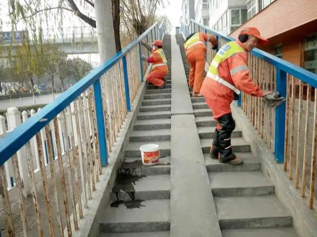 澳宝典资料大全