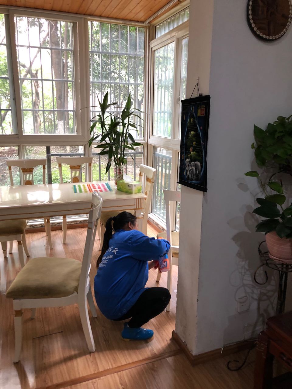 澳宝典资料大全