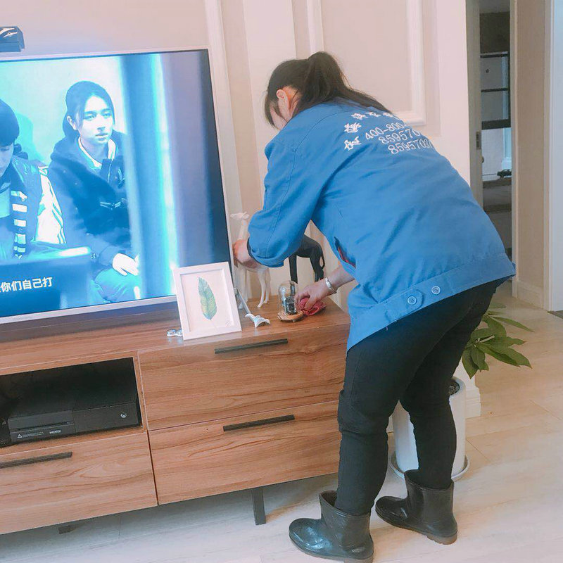 澳宝典资料大全