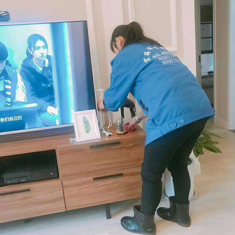 澳宝典资料大全