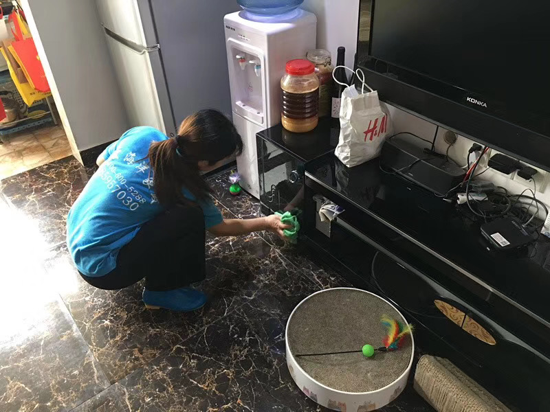 澳宝典资料大全