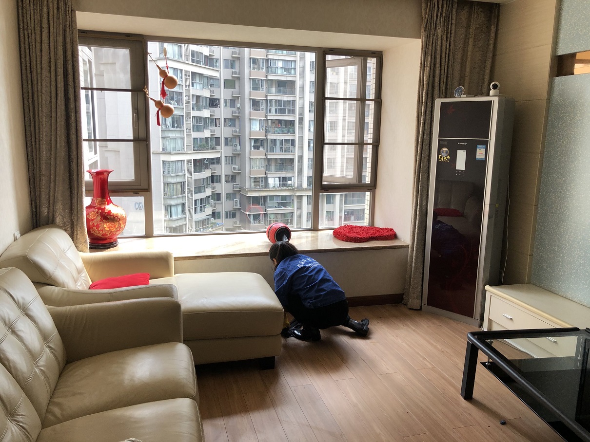 澳宝典资料大全