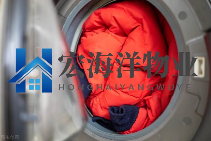 澳宝典资料大全