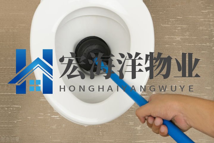 澳宝典资料大全