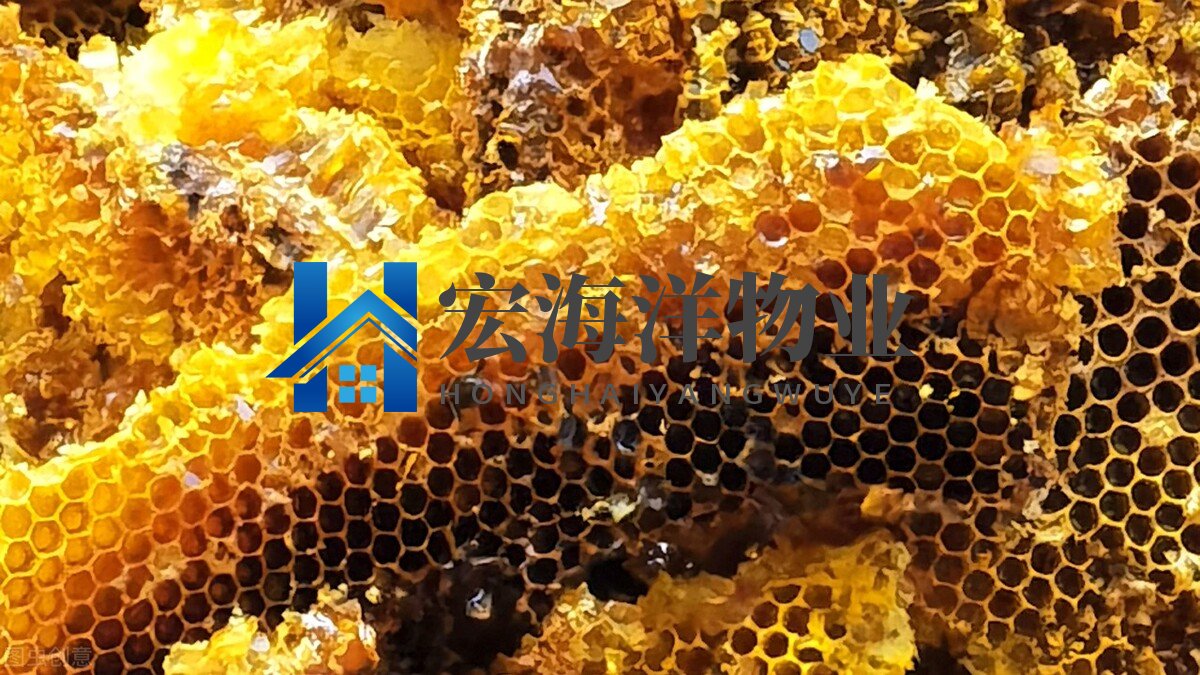 澳宝典资料大全