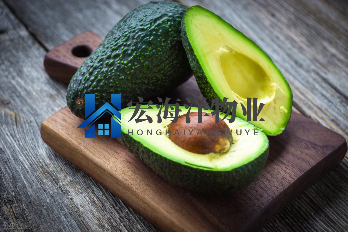 澳宝典资料大全