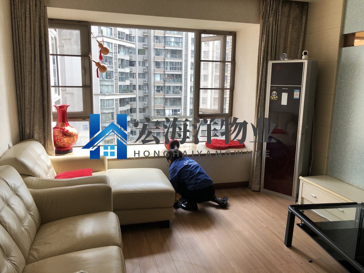 澳宝典资料大全