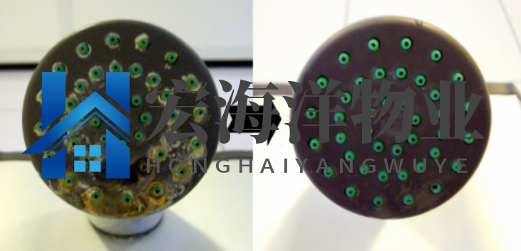 澳宝典资料大全