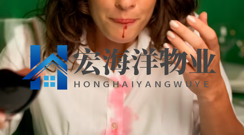 澳宝典资料大全