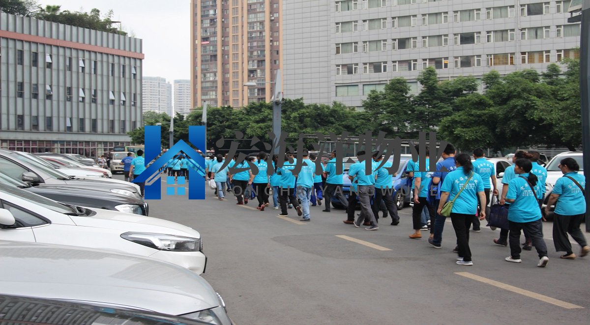 澳宝典资料大全