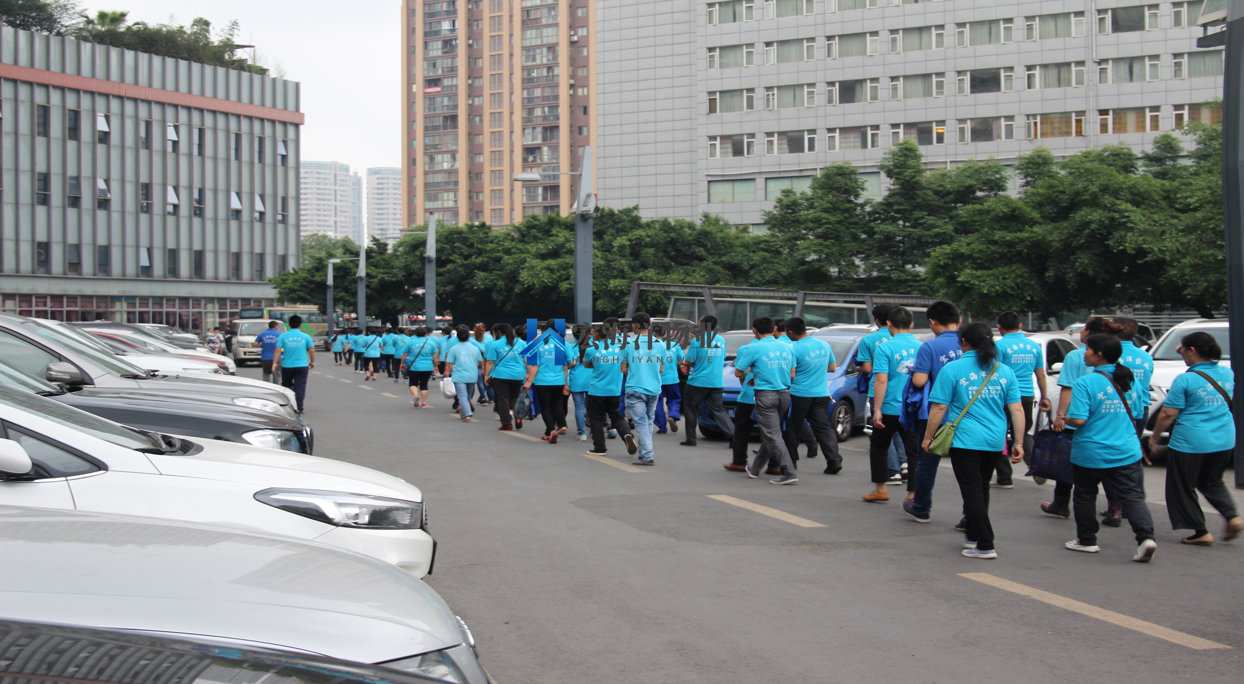 澳宝典资料大全