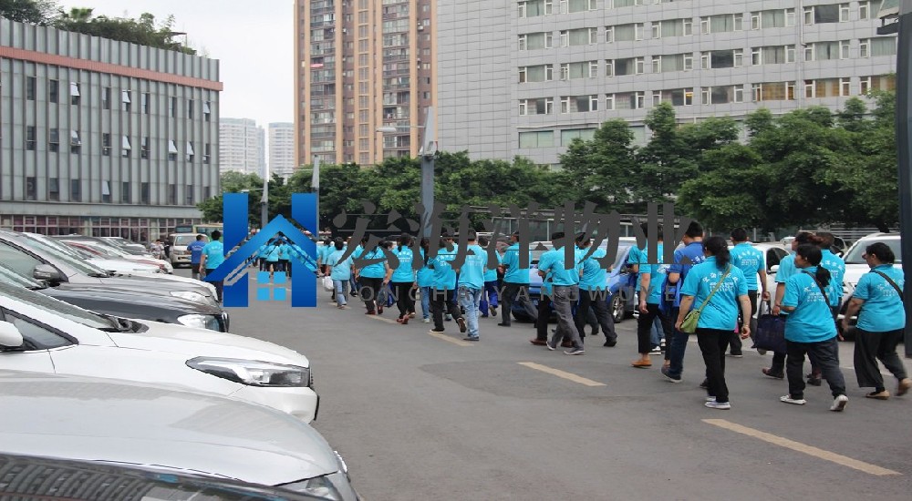 澳宝典资料大全