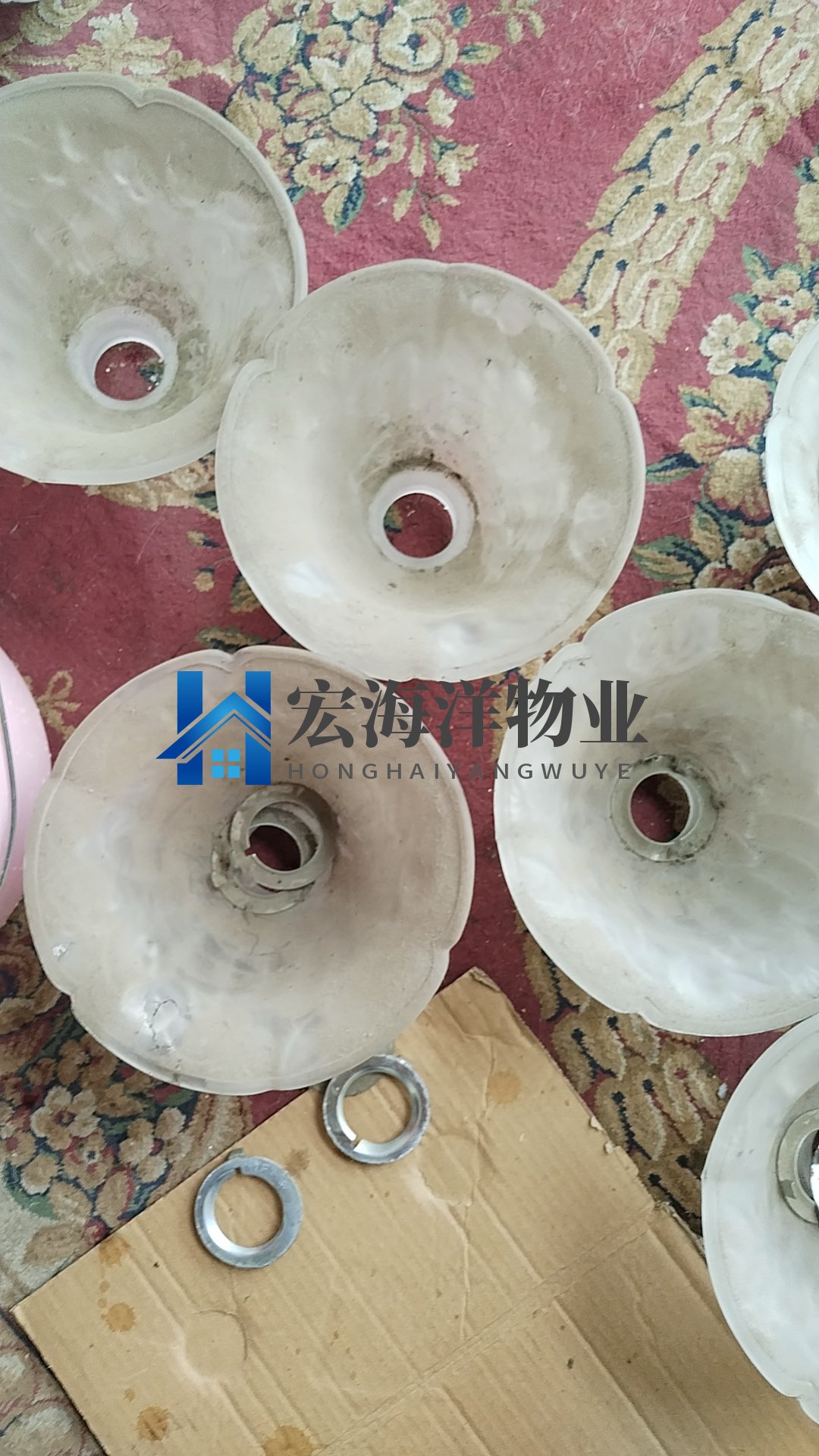 澳宝典资料大全