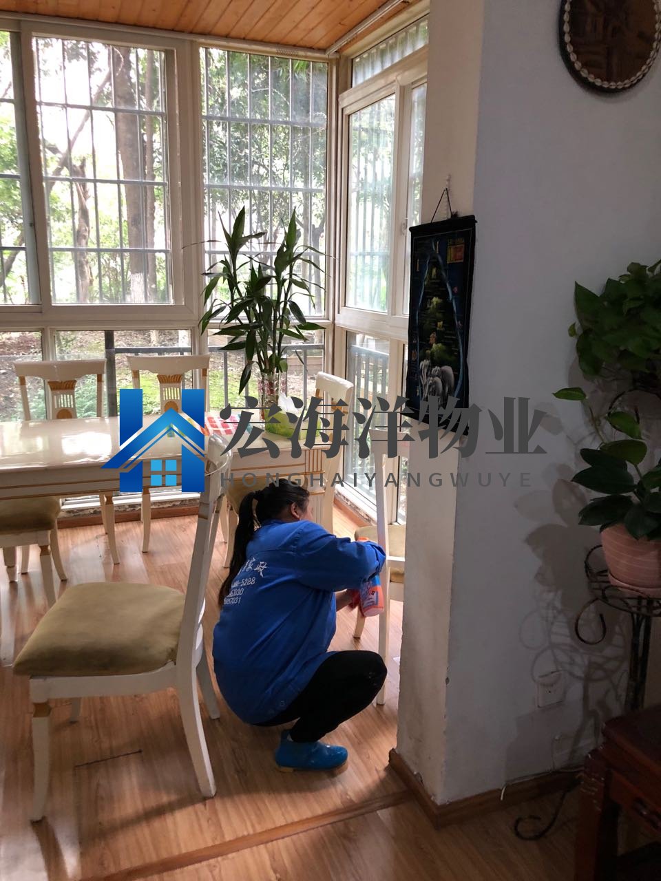 澳宝典资料大全